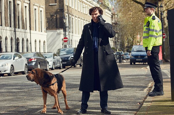 Zwei Spürnasen bei der Arbeit, Sherlock und Toby auf der Fährte eines Einbrechers, der es auf Thatcher-Büsten abgesehen hat. - © Hartswood Films 2016/BBC