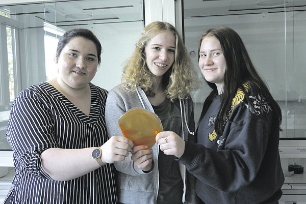 Für die Umwelt: (v.l) Schülerinnen der Klasse 9 Julia Merschmann, Maja Hörstmann,und Tammy Schade präsentieren das Material, das für eine nachhaltige Plastiktüte bestimmt ist. - © Lisa Richter