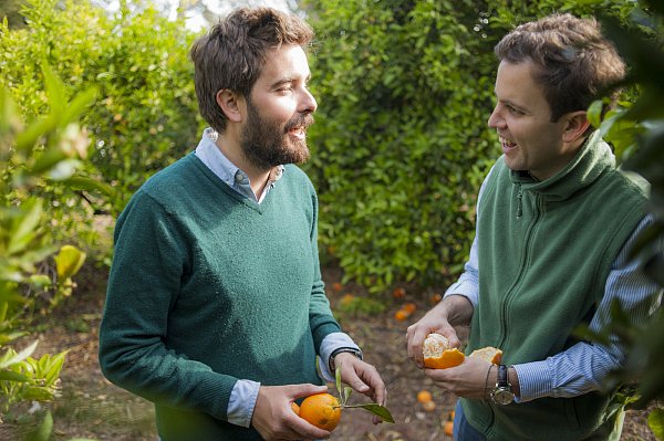 Sie hatten die Idee zum Crowdfarming: Die Brüder Gabriel (l.) und Gonzalo Urculo. - © Naranjas del Carmen