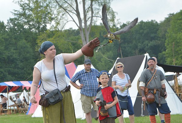 Im Anflug: Die Falknerey "Skyhunters in Nature" präsentierte den Besuchern die Welt der Greifvögel. - © Jens Dünhölter