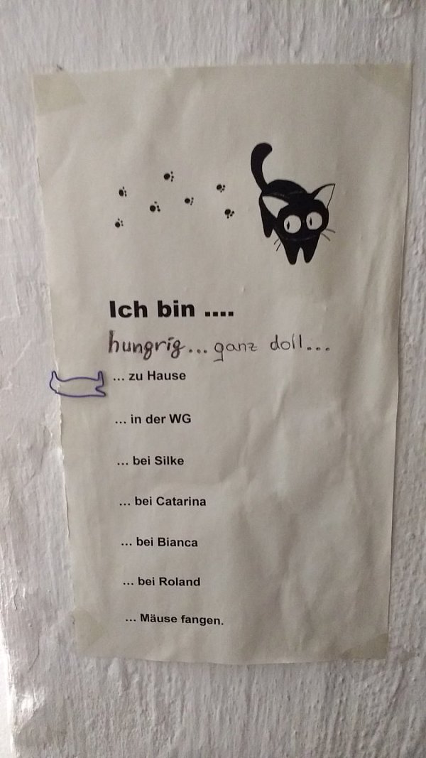Hinweis für die Helfer: Neben der Tür von Kater Karlos Kellerraum hängt ein Zettel, an dem eingetragen wird, wo das Tier gerade ist. - © Hanna Paßlick