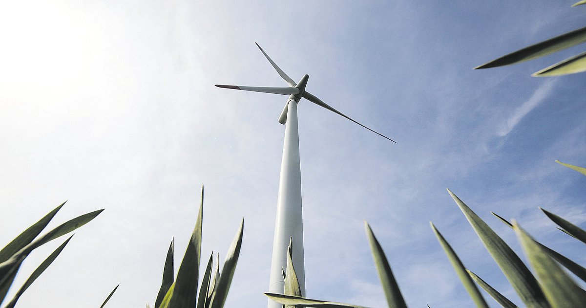 Bauarbeiten am Gütersloher Windpark stehen still | nw.de