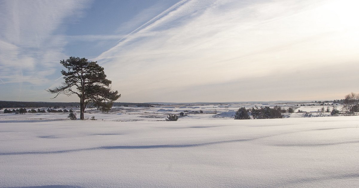 LeserFotos So schön ist der Winter im Kreis Paderborn nw.de