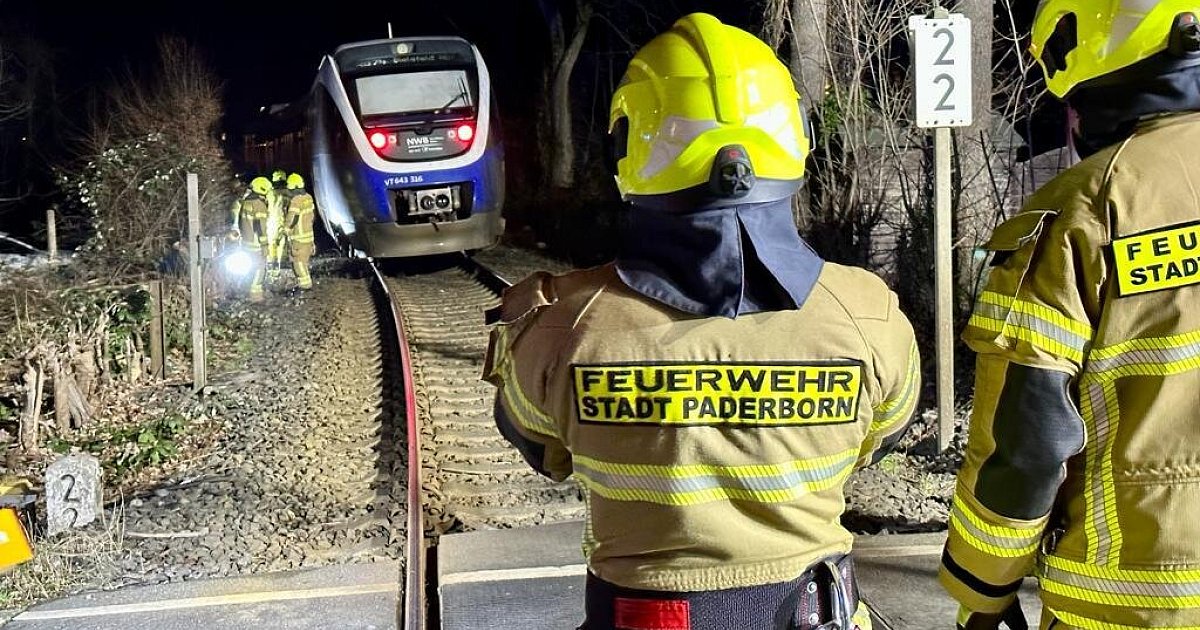 Krasser Auftakt Paderborn Nach Auftaktsieg Und Mit Tigges Bereit Für Das Nrw Duell Mit Münster - 17tlg6h