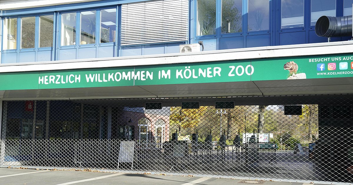 Was Kostet Das Parken Am Kölner Zoo Am Samstag www.nw.de