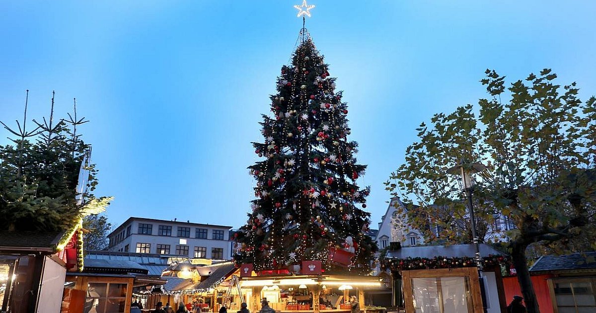 Herforder-Weihnachtsmarkt-2025-Alle-Informationen-im-gro-en-berblick