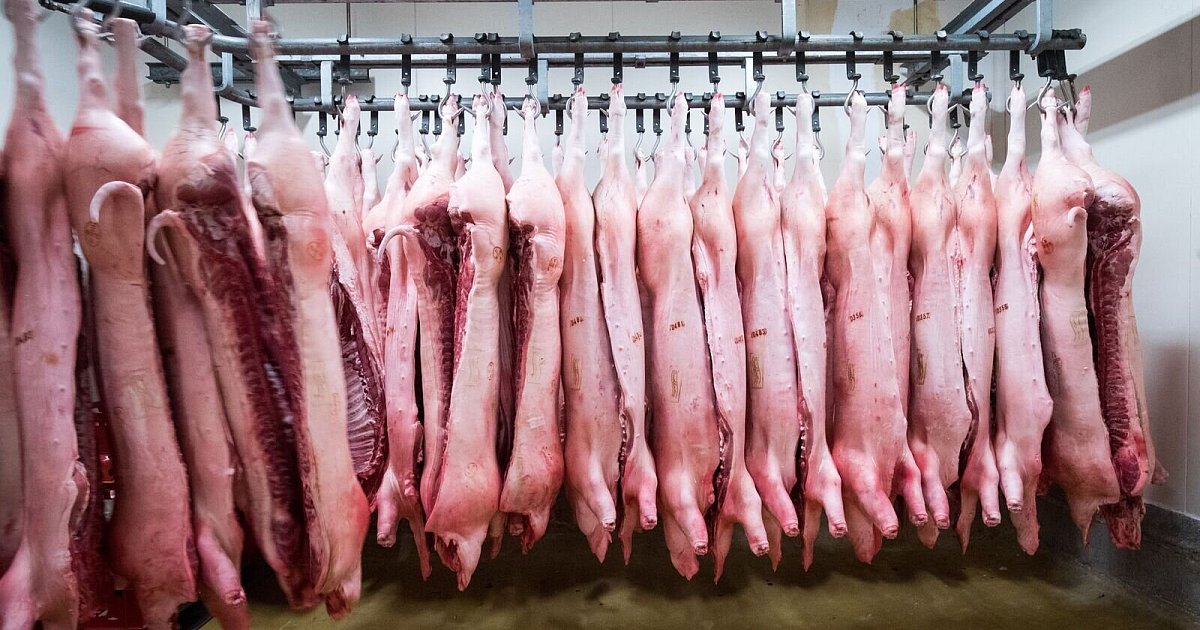 China-verh-ngt-Z-lle-auf-Schweinefleisch-aus-der-EU