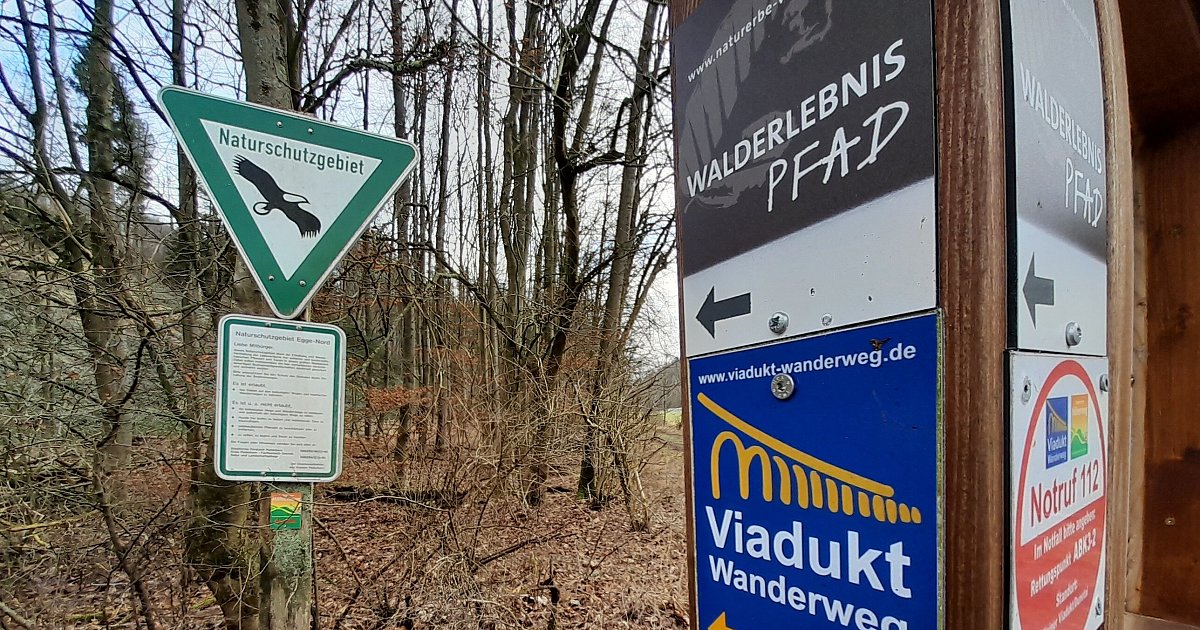 Tipps-f-rs-Wandern-im-Herbst-Sch-ne-Waldwege-im-Kreis-Paderborn