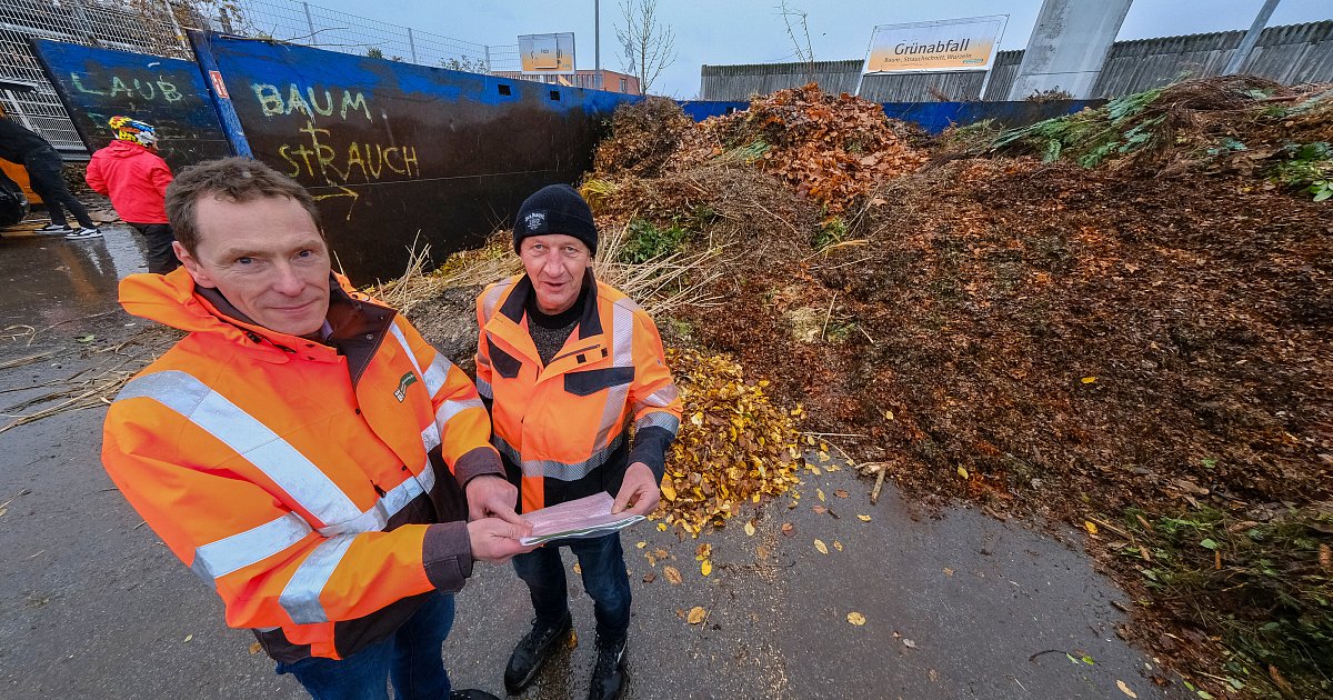 Stadt-reagiert-auf-lange-Wartezeiten-Extra-Laubsammlung-soll-Bielefelder-Wertstoffh-fe-entlasten