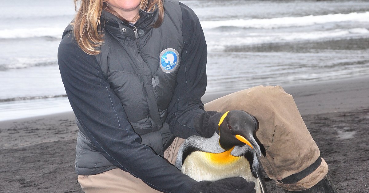 Pinguinforscherin-aus-Bielefeld-reist-um-die-Welt