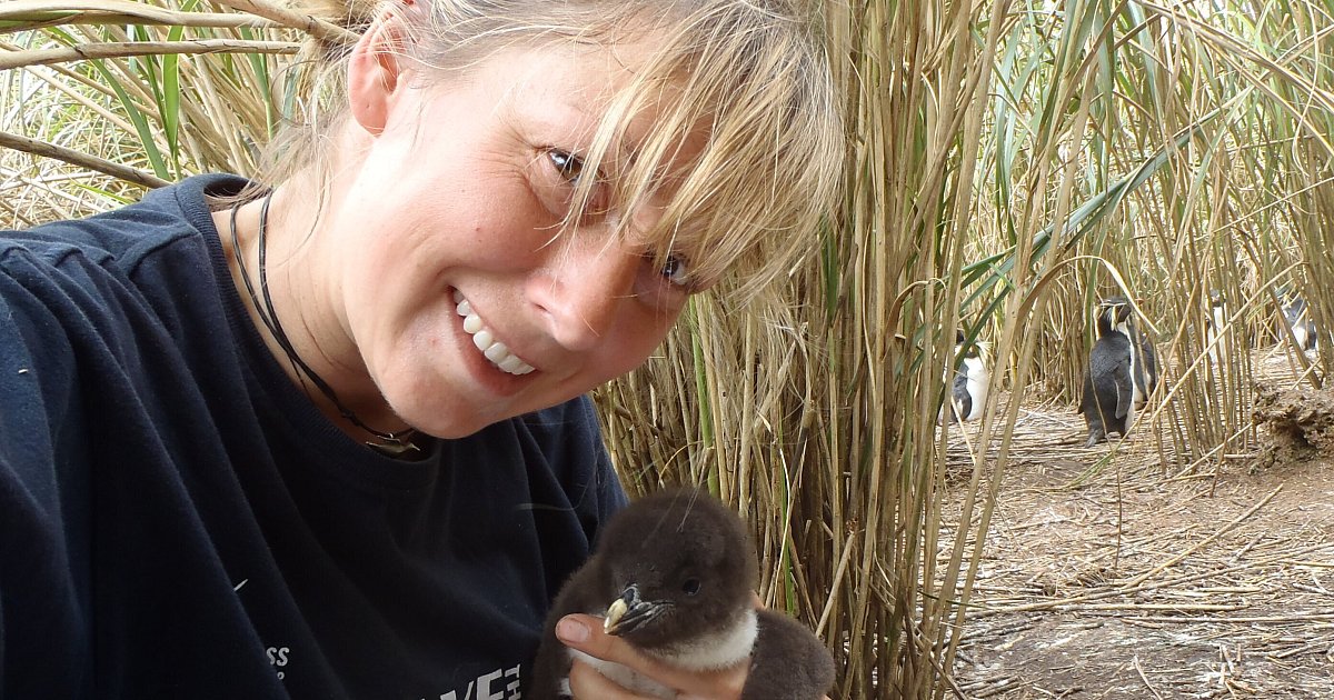 Bielefelder-Auswanderin-reist-als-Pinguinforscherin-um-die-Welt