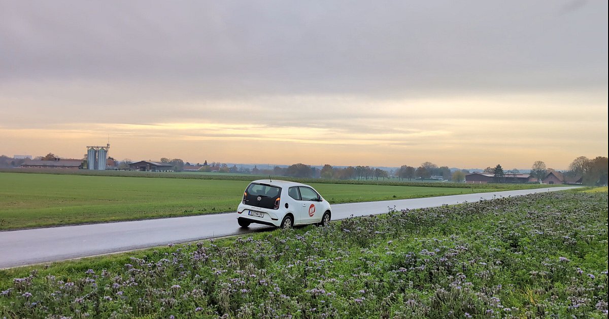 Wilder-M-ll-in-B-nde