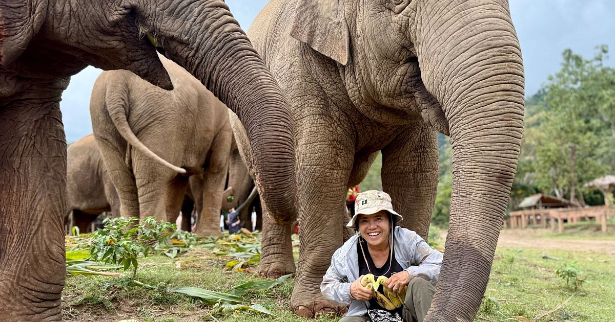 Die-Elefantenfl-sterin-von-Chiang-Mai