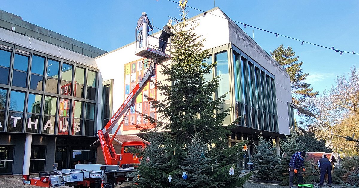 Mit-Herz-und-Handarbeit-Ein-Weihnachtsbaum-f-r-B-nde-2025-nimmt-Gestalt-an