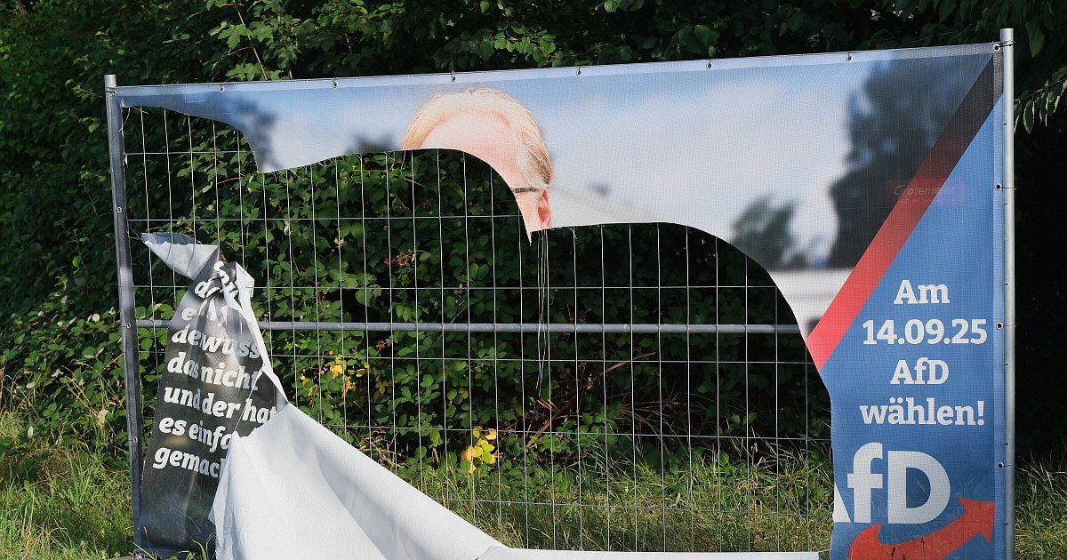 Kreis-Minden-L-bbecke-kompakt-Skandal-um-AfD-Doktor-und-Heckenbr-nde