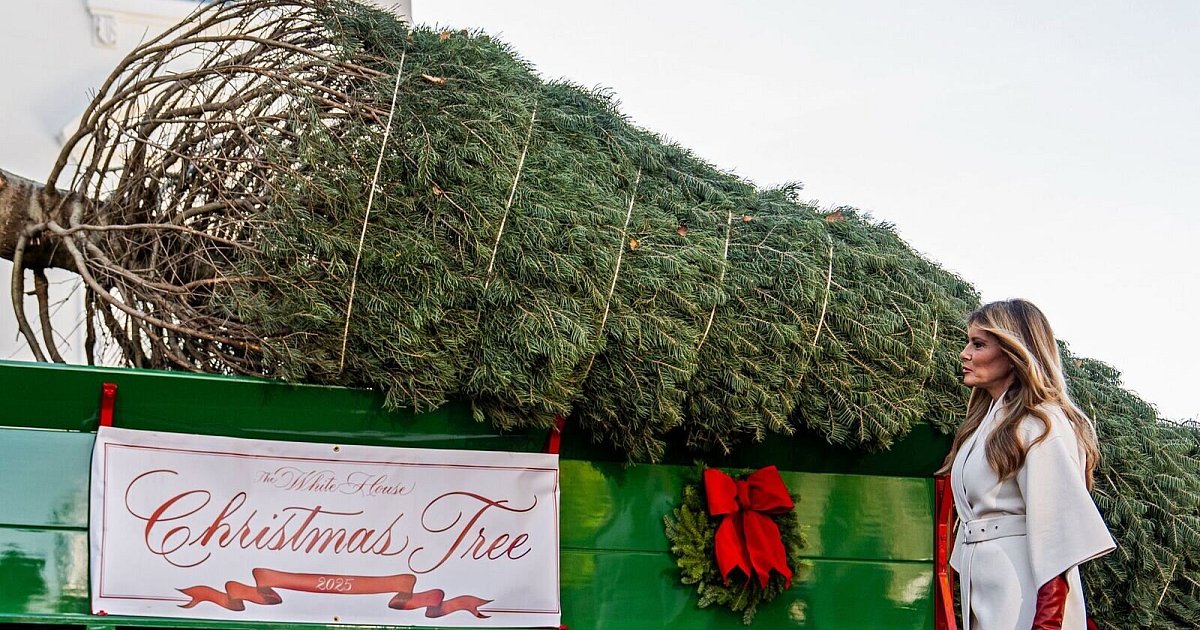 Weihnachtsbaum-und-Truth-hne-im-Wei-en-Haus