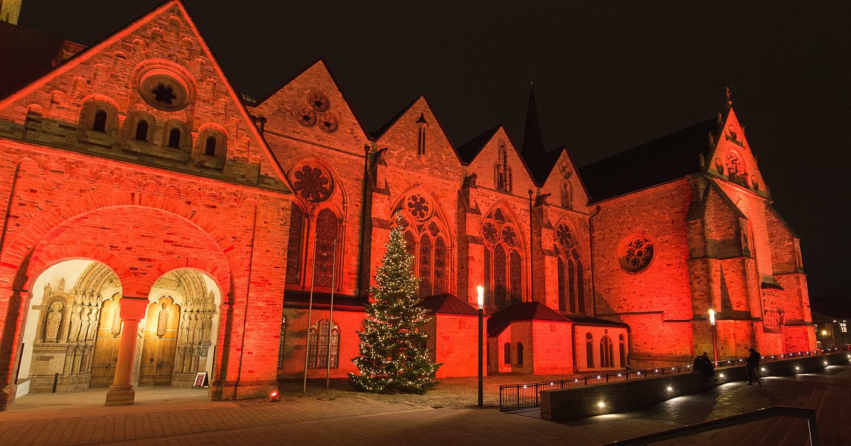 Orange-Day-2025-Erschreckende-Zahlen-am-Tag-gegen-Gewalt-an-Frauen-ver-ffentlicht