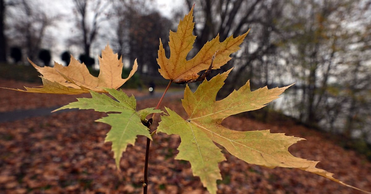 DWD-Hitze-und-Schnee-im-Herbst-2025-aber-keine-Rekorde