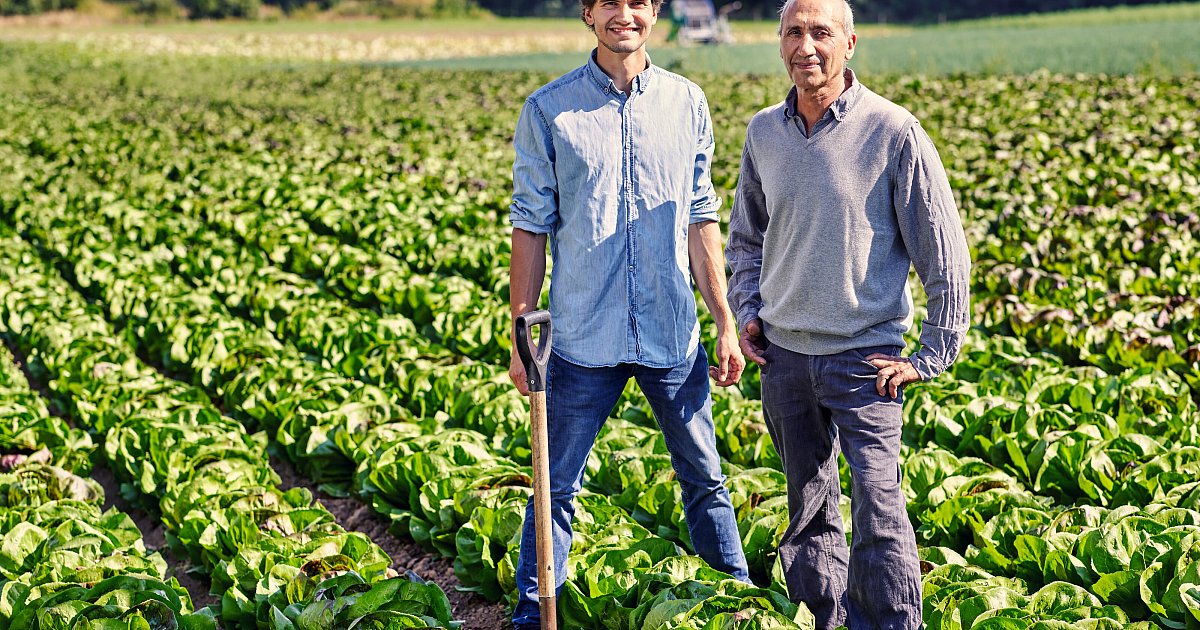 OWL-Landwirte-nutzen-alte-Anbauweise-gegen-berschwemmungen-und-D-rre