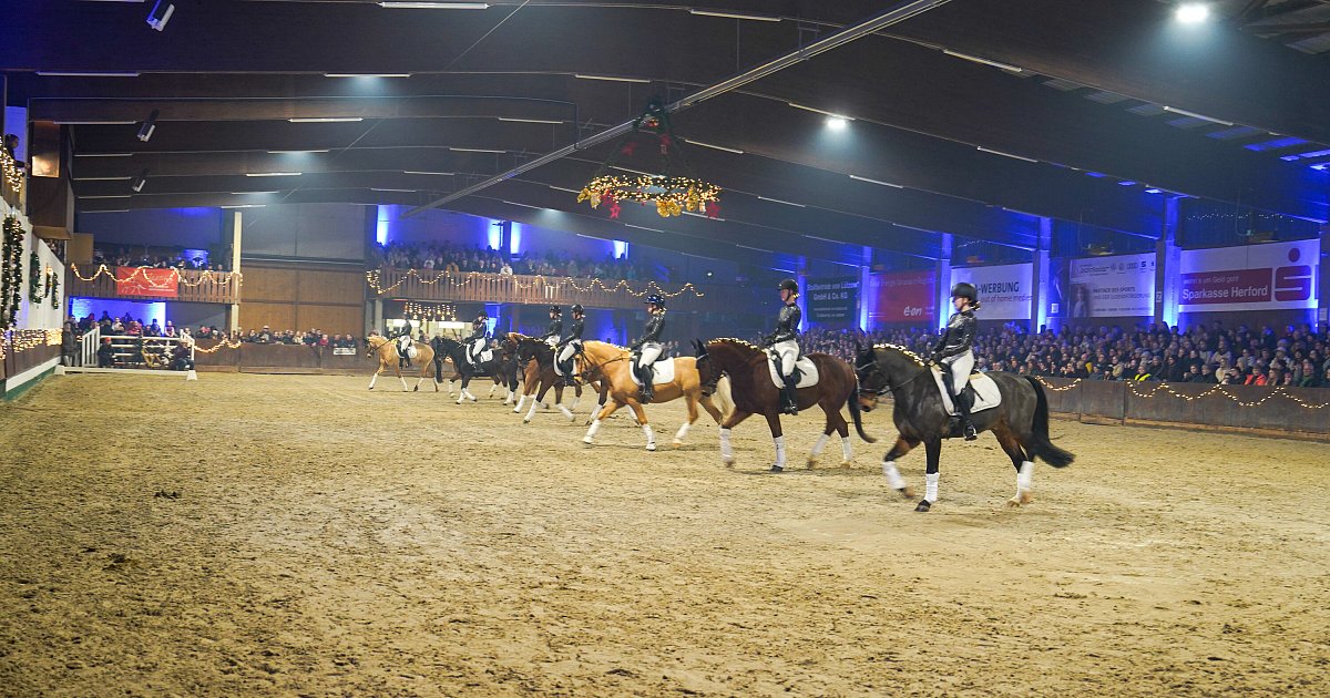 Lebhafter-und-rasanter-Gala-Abend-des-Pferdes