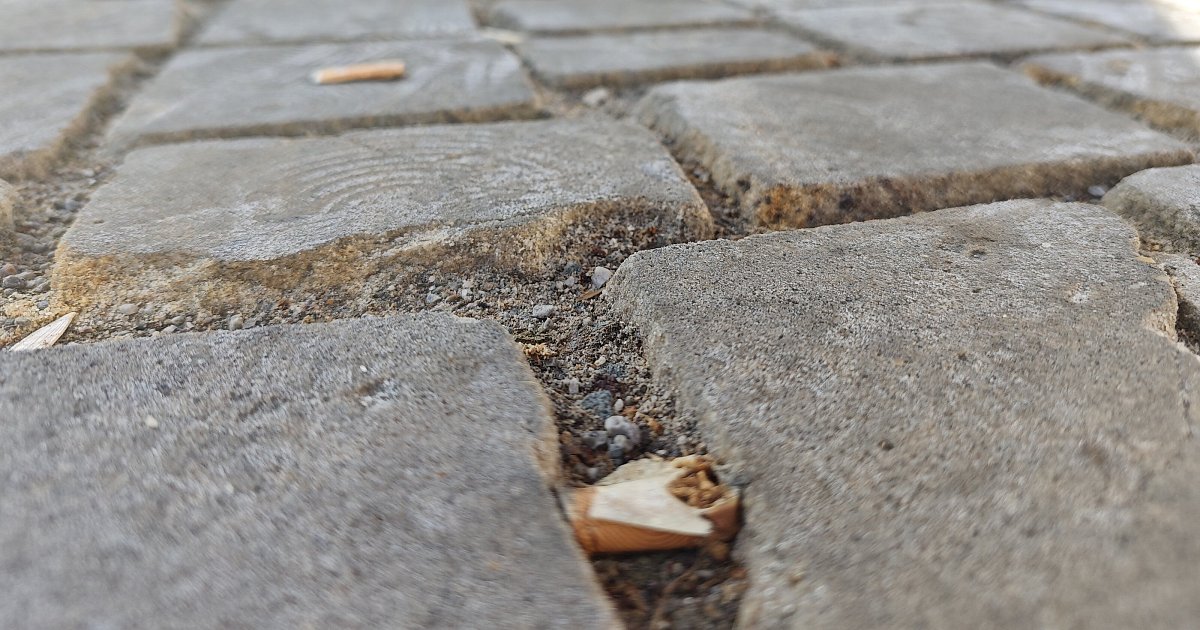Zigarettenkippen-im-Kreis-H-xter-Warum-Wegschnippen-kaum-sanktioniert-wird