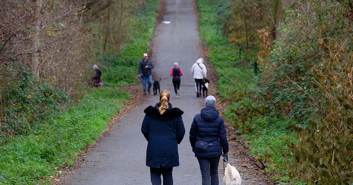 Mildes-Wetter-zum-meteorologischen-Winteranfang