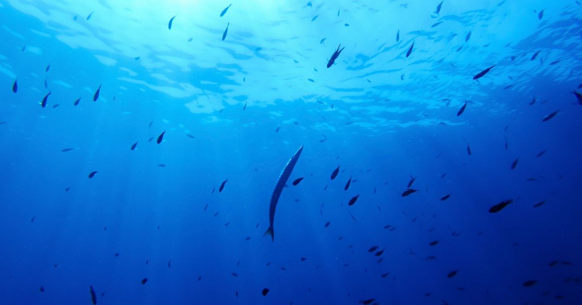 Deutschland-will-Schutzabkommen-f-r-Hochsee-beitreten