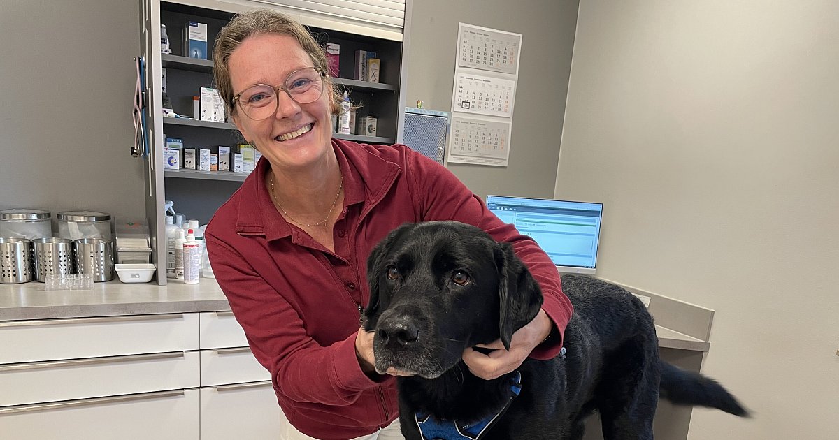 B-nder-Tier-rztin-redet-Klartext-Tierhaltung-ist-kein-Grundrecht-sondern-Luxus-