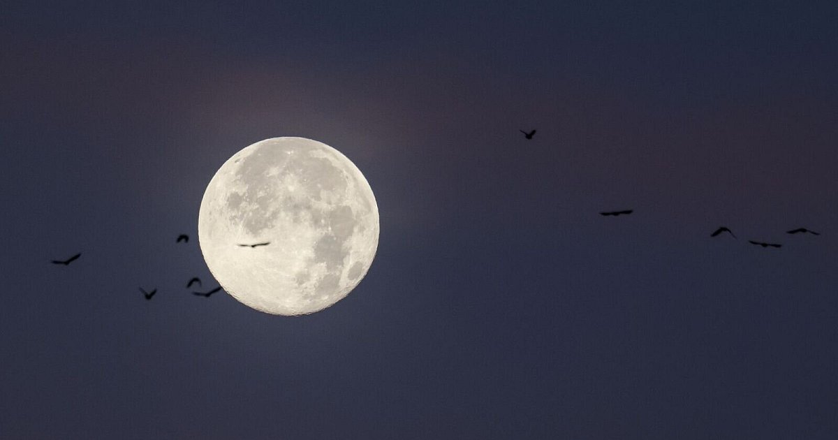 Letzter-Vollmond-des-Jahres-Mythen-und-Fakten