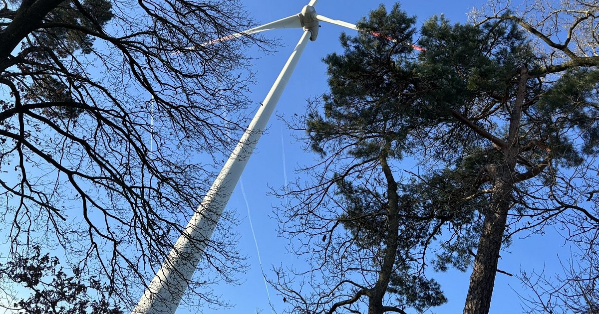 Landesbetrieb-plant-Windkraftanlagen-im-Wald-bei-Bad-W-nnenberg