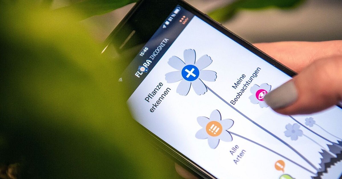 Botanik-Apps: Pflanzenkunde mit dem Smartphone | nw.de