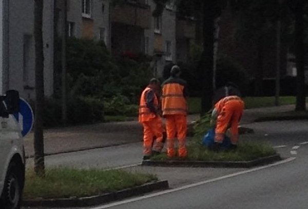 Und weg ist das Pflänzchen. - © Privat