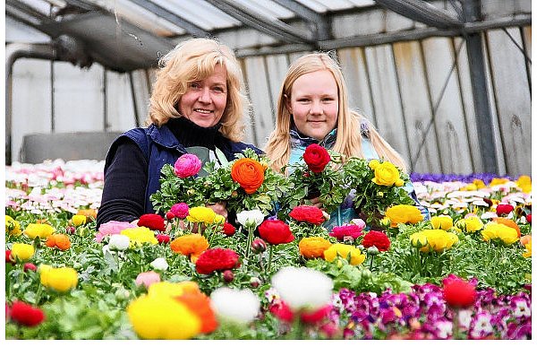 Christine und Tochter Linda Sielermann stehen in ihrem Gewächshaus zwischen hunderten von schönen, bunten Blumen. Zwei Wochen hat die Floristin noch, dann braucht sie Platz für die Sommerblumen. - © FOTOS: JOHANNES WÖPKEMEIER