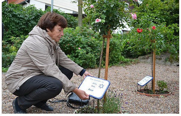 Bärbel Beckmann steckt eine der Gedenktafeln mit den Namen der jüdischen Familienmitglieder aus Pömbsen neben den Rosenstock. - © FOTOS: SILKE RIETHMÜLLER