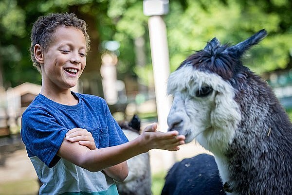 Am 6. September findet das Tierparkfest der NW im Herforder Tierpark statt. - © Sarah Jonek