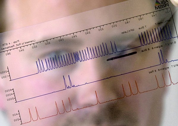 Der Verdächtige Klaus M. wird eines weiteren Mordes beschuldigt. 1993 hat er der 32 Jahre alte Elke H. (Name geändert) einen Stich in den Hals versetzt und sie dann mit einem Elektrokabel erdrosselt. - © dpa/dpaweb