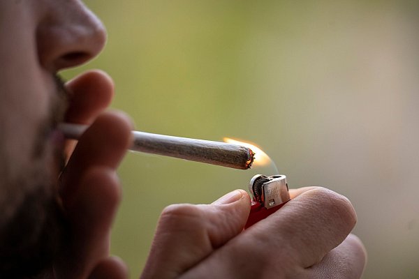 Die Legalisierung von Cannabis soll noch einmal überprüft werden. - © Hannes P Albert/dpa
