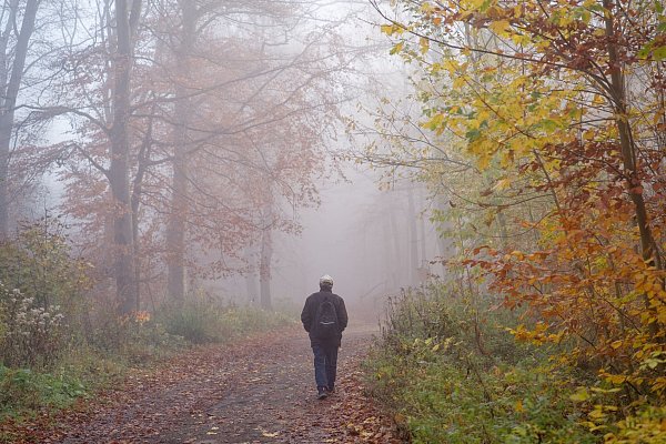 Nebelig, trüb und nasskalt, so sieht der November für viele in der Vorstellung aus. Das Wetter in dem Übergangsmonat soll laut Bauernregeln Einfluss auf das Winterwetter haben. - © Uwe Anspach/dpa