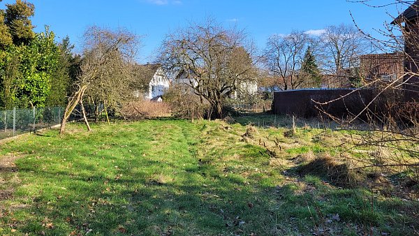Offen: Die Baulücke an der Bohlenstraße in Gütersloh, derzeit ein großer Privatgarten, könnte gestopft werden. - © Ludger Osterkamp