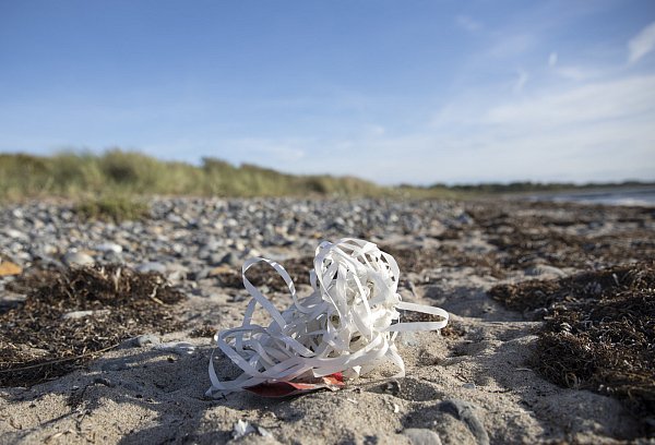Plastikmüll an einem Ostseestrand. Ein Teilverbot von Wegwerfartikel bekämpft das Problem nur in geringem Ausmaß. - © picture alliance / dpa Themendienst