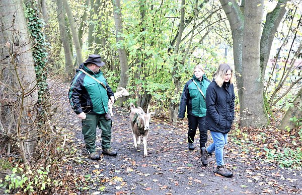 Kai Weigt, Neele Weigt und Sonja Rudolff mit Hugo und Lissy. - © Simone Flörke