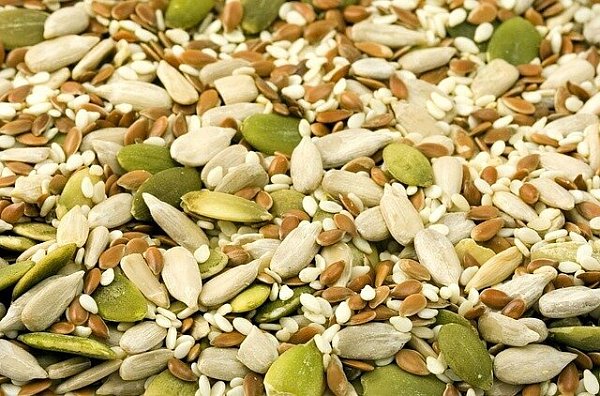 Mit Nüssen und Samen können vegane Gerichte gekocht werden. - © Symbolfoto: Pixabay