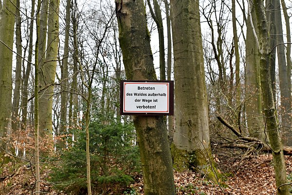 Laut Förster Niels Niemann irrt hier der Walbesitzer. Der Wald darf auch außerhalb von Wegen betreten werden. - © Gunter Held