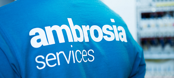 Heute zählt das Unternehmen rund 70 engagierte Mitarbeiter und Mitarbeiterinnen. - © ambrosia