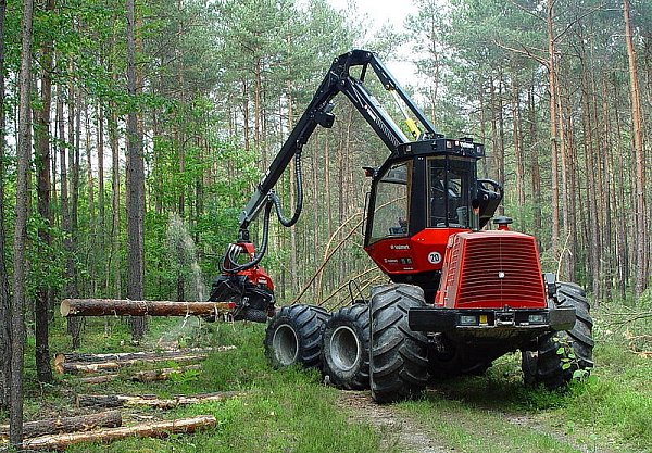 Zahlreiche Fichten müssen auch aus OWL-Wäldern geholt werden, um die Klausner-Lieferverträge zu erfüllen. Dabei kommen moderne Maschinen, sogenannte Harvester, zum Einsatz. - © FOTO: DPA
