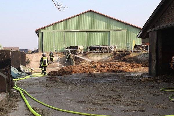 Zur Vorsicht transportierten die Feuerwehrleute den Mist aus der Scheune und löschten ihn nach. - © Christian Bendig