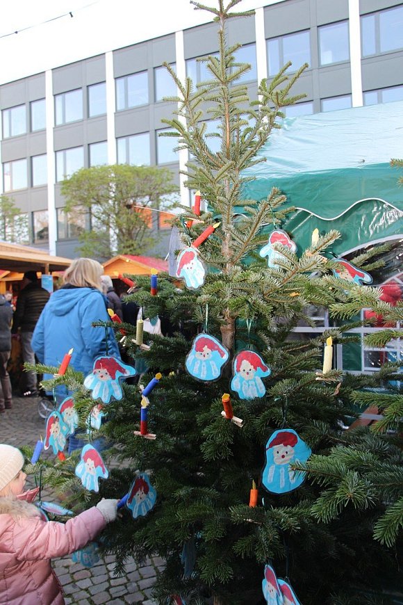 Die Weihnachtsbäume hübsch geschmückt von Kindergarten- und Grundschulkindern. - © Myriam Domke-Feiner