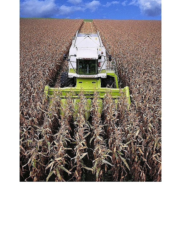 Der moderne Lexion ist GPS-gesteuert, und seine Elektronik regelt die Erntearbeit perfekt. Der Fahrer kann sich zumeist auf die reine Kontrolle konzentrieren. - © FOTOS: HORST BIERE