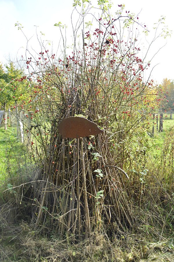 Stilvoll überwintern: Igelhaus im Garten von BUND-Chef Friedhelm Diebrok. - © Vivien Tharun