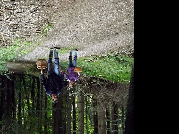 Alles andere als langweilig: Auch Bassem Kaawar und seine Tochter Alia streifen durch den Wald, dabei immer den Blick auf die Pilze am Wegesrand gerichtet.